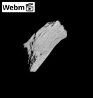 SK 1590e Paranthropus robustus os coxae fragment ct stack movie