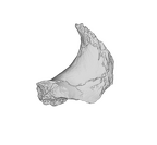 SK 1590e Paranthropus robustus os coxae fragment ply