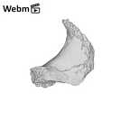 SK 1590e Paranthropus robustus os coxae fragment ply movie