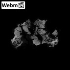 SK 1590f Paranthropus robustus os coxae fragment ct stack movie