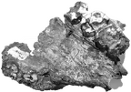 SK 1592 Paranthropus robustus partial maxilla