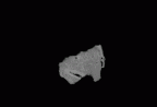 SK 1593 Paranthropus robustus LRP3 gif