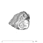 SK 1593 Paranthropus robustus LRP3 occlusal