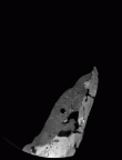 SK 15 Hominin mandible dentition gif