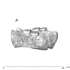 SK 15 Hominin mandible dentition lateral right