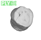 SK 18a Hominin LLP3 ply