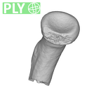 SK 18b Hominin left radius ply