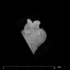 SK 19 Paranthropus robustus LRM2 internal