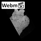 SK 19 Paranthropus robustus LRM2 ct stack movie