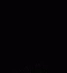 SK 21 Paranthropus robustus left maxilla gif