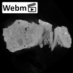 SK 21 Paranthropus robustus left maxilla ct stack movie