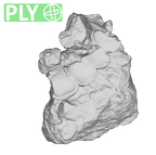 SK 21 Paranthropus robustus left maxilla ply