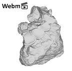 SK 21 Paranthropus robustus left maxilla ply movie
