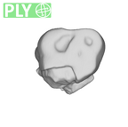 SK 21a Paranthropus robustus ULM3 ply
