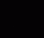 SK 24 Paranthropus robustus ULP3 gif