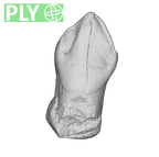 SK 27 Homo ULC ply