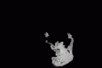 SK 27 Homo temporals gif