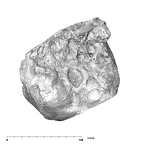 SK 27 Homo temporals inferior
