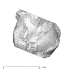 SK 27 Homo temporals superior