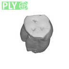 SK 30 Paranthropus robustus LLP3 ply