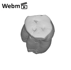 SK 30 Paranthropus robustus LLP3 ply movie