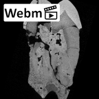 SK 32 Paranthropus robustus URP4 ct stack movie