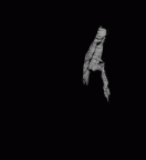 SK 34 Paranthropus robustus left hemimandible dentition gif