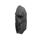 SK 38 Paranthropus robustus URC