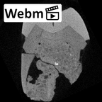 SK 39 Paranthropus robustus URP4 ct stack movie