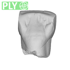 SK 40 Paranthropus robustus ULI1 ply