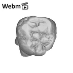 SK 41 Paranthropus robustus ULM3 ply movie