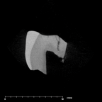 SK 43 Hominin LRP4 fragment 1 internal