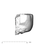 SK 43 Hominin LRP4 fragment 1 mesial