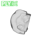 SK 43 Hominin LRP4 fragment 1 ply