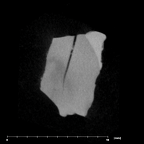SK 43 Hominin LRP4 fragment 2 internal