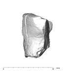 SK 43 Hominin LRP4 fragment 2 mesial