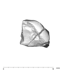 SK 43 Hominin LRP4 fragment 2 occlusal