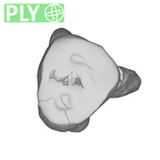 SK 44 Paranthropus robustus URP3 ply