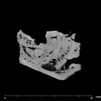 SK 45 Homo partial mandible internal