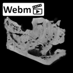 SK 45 Homo partial mandible ct stack movie
