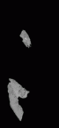 SK 45 Homo partial mandible dentition gif
