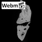 SK 45 Homo partial mandible dentition ct stack movie