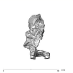 SK 46 Paranthropus robustus cranium distal