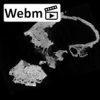 SK 46 Paranthropus robustus cranium ct stack movie