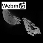 SK 47 Paranthropus robustus cranium ct stack movie