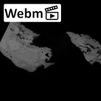 SK 47 Paranthropus robustus right temporal ct stack movie