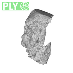 SK 47 Paranthropus robustus right temporal ply