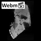 SK 48.SKW 7 Paranthropus robustus cranium ct stack movie