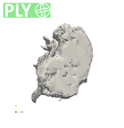 SK 48 Paranthropus robustus temporals ply