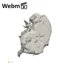 SK 48 Paranthropus robustus temporals ply movie